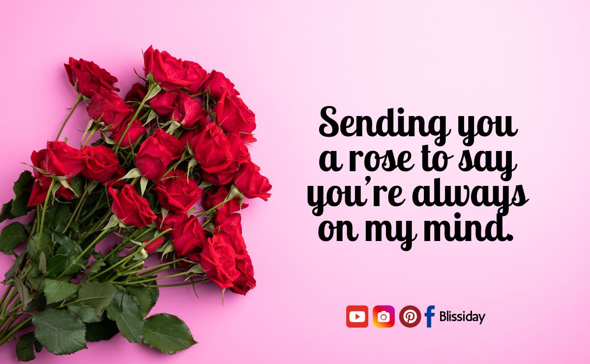 Heartfelt Rose Day Quotes for Your Love